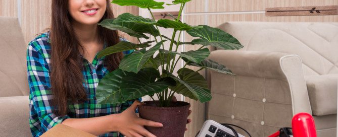move your plants