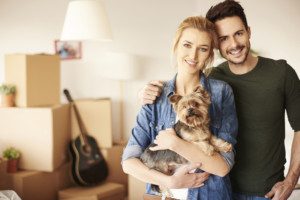moving with pets