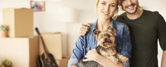 moving with pets