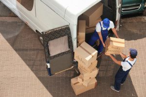 professional movers