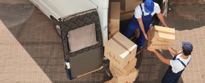 professional movers