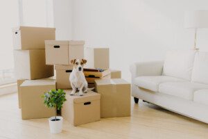 moving with a pet